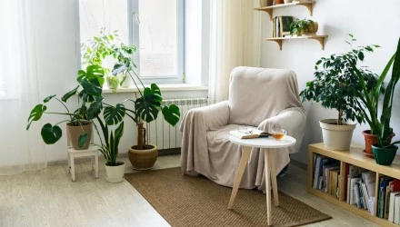 Penész megelőzése