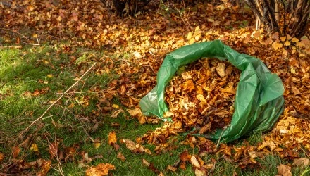 Szemeteszsákok sokoldalúan – Őszi praktikák a kertben és otthon
